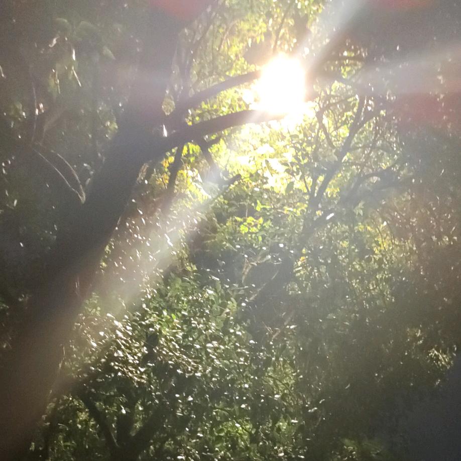 💞听এۣۖิ说糖很꧔ꦿ甜🥰