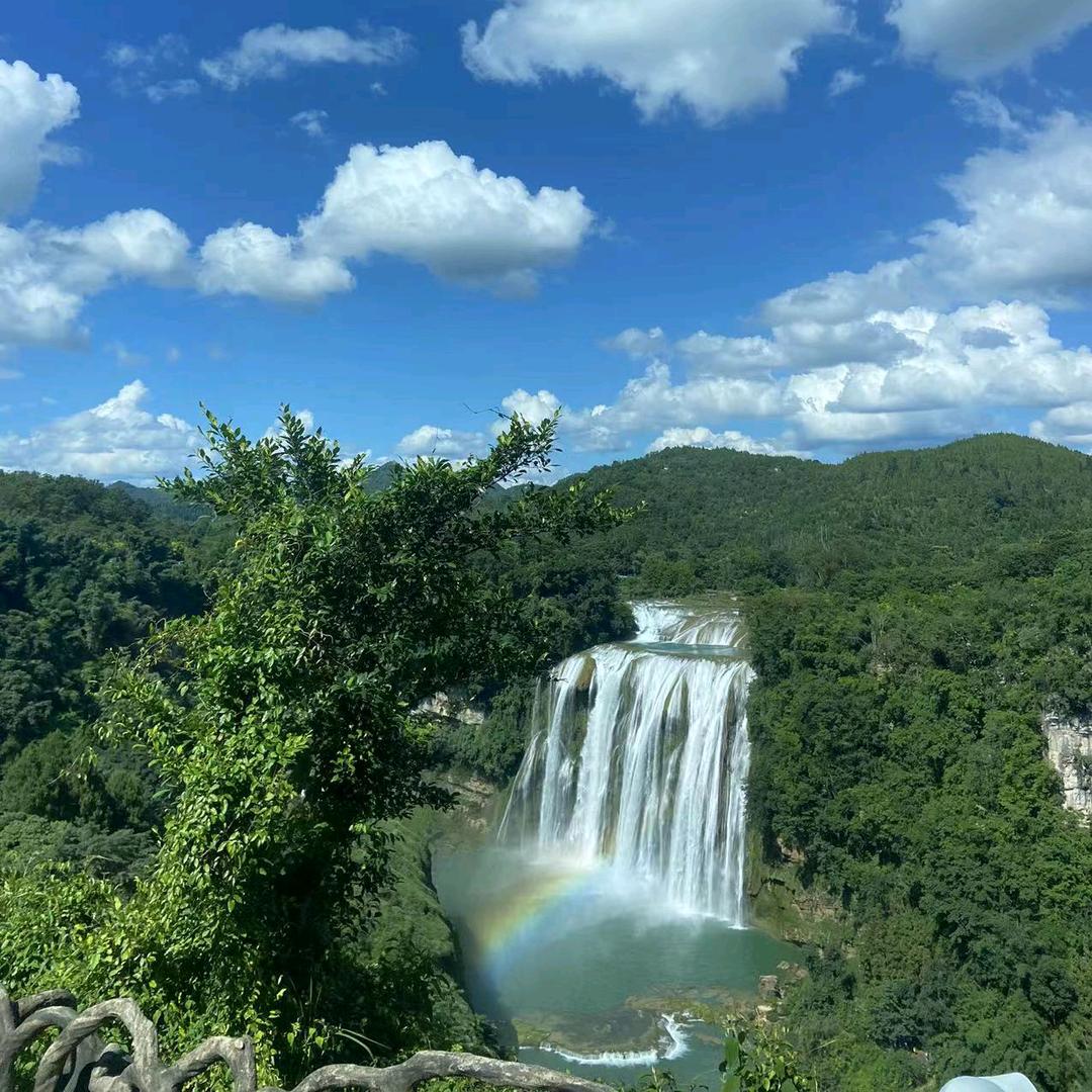 დ᭄ꦿ请叫我菊菊꧔ꦿ℘⸙