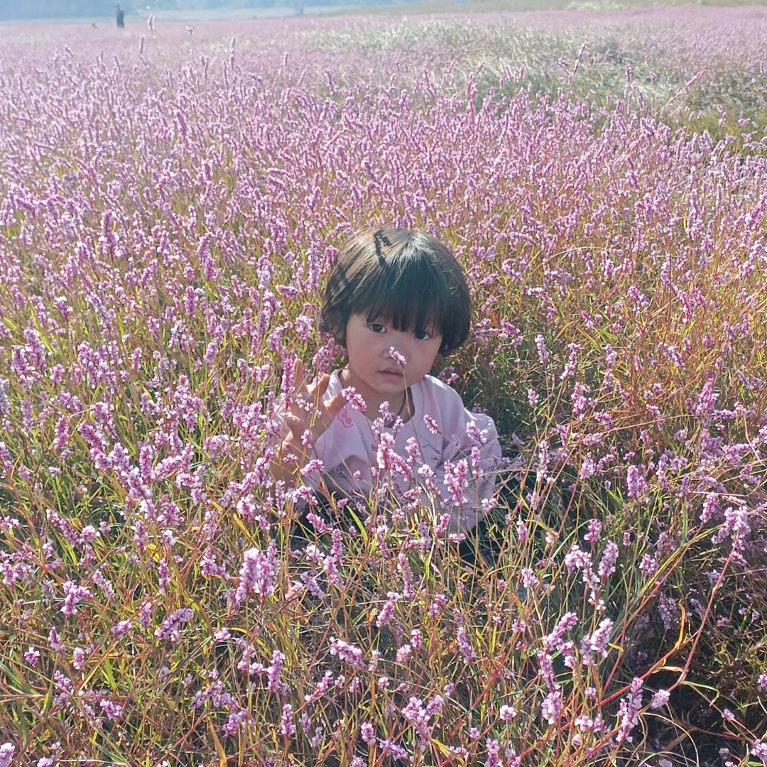 命运🤕🤕无奈🛡️