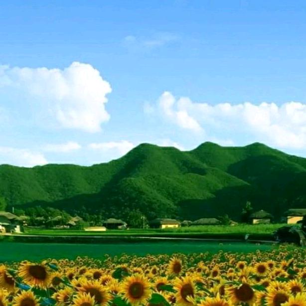 笑口常开