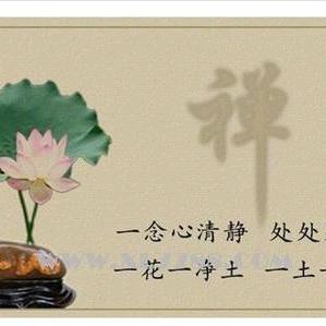 一花一世界