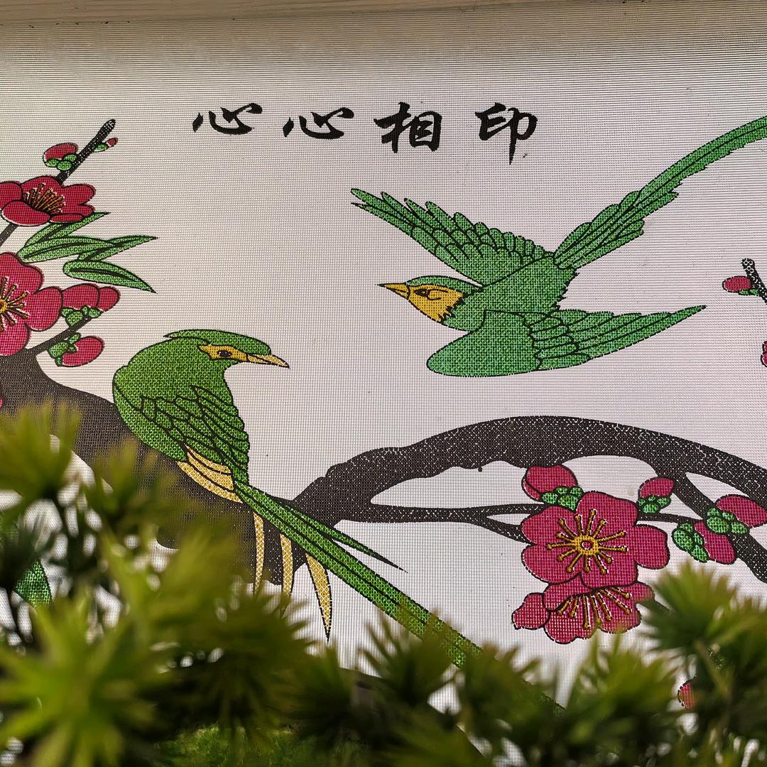 春暖花开🌺又一春🌿🌲