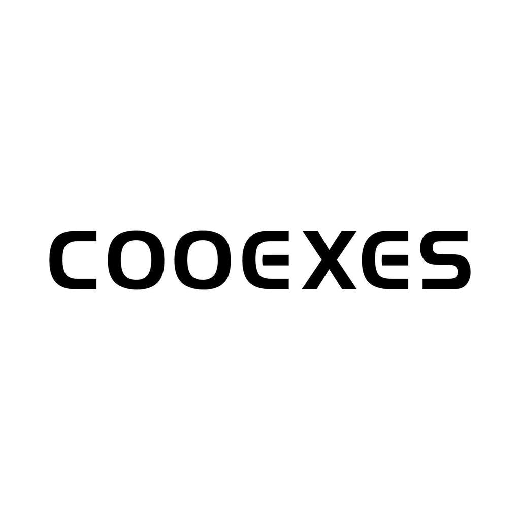 cooexes汽车用品旗舰店