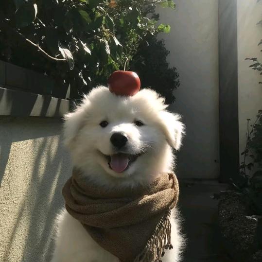 粥末見
