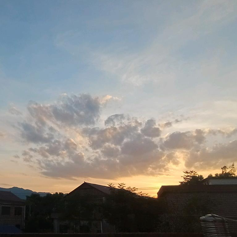 鱼蛋
