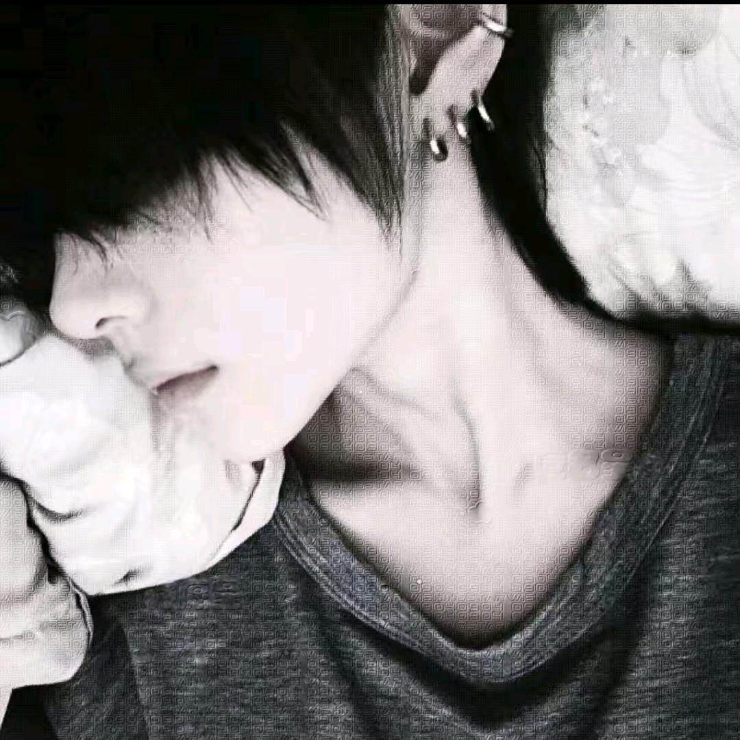小狗豆豆