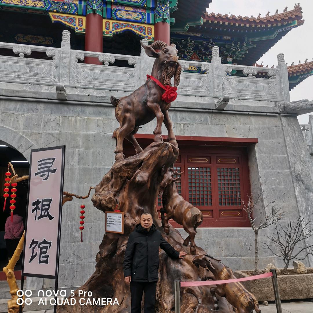 武哥-踏遍北疆林海