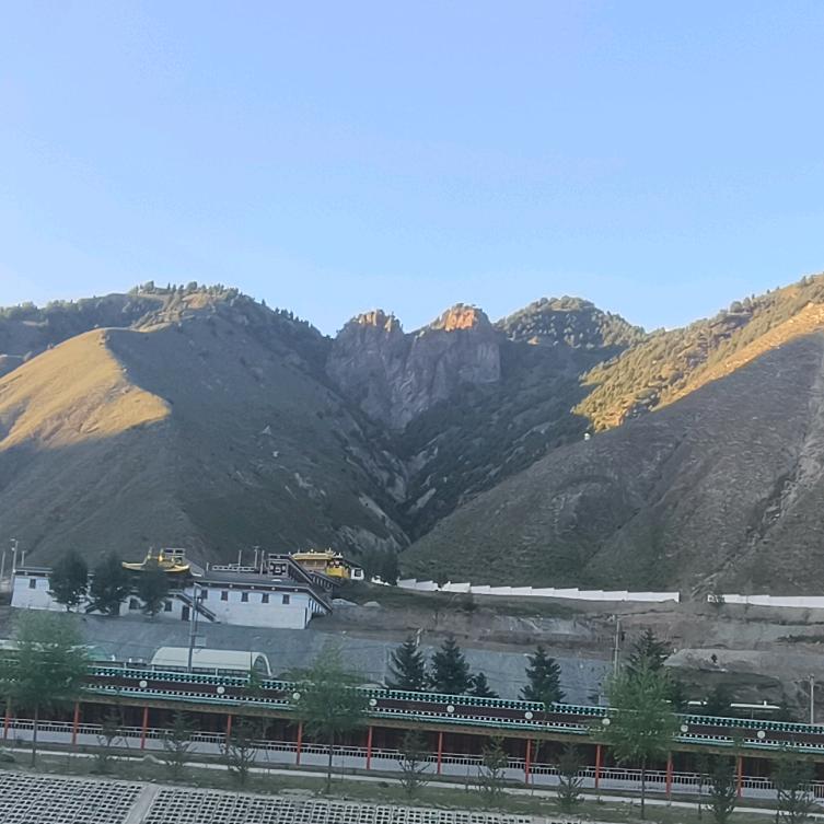 勤劳的小蜜蜂