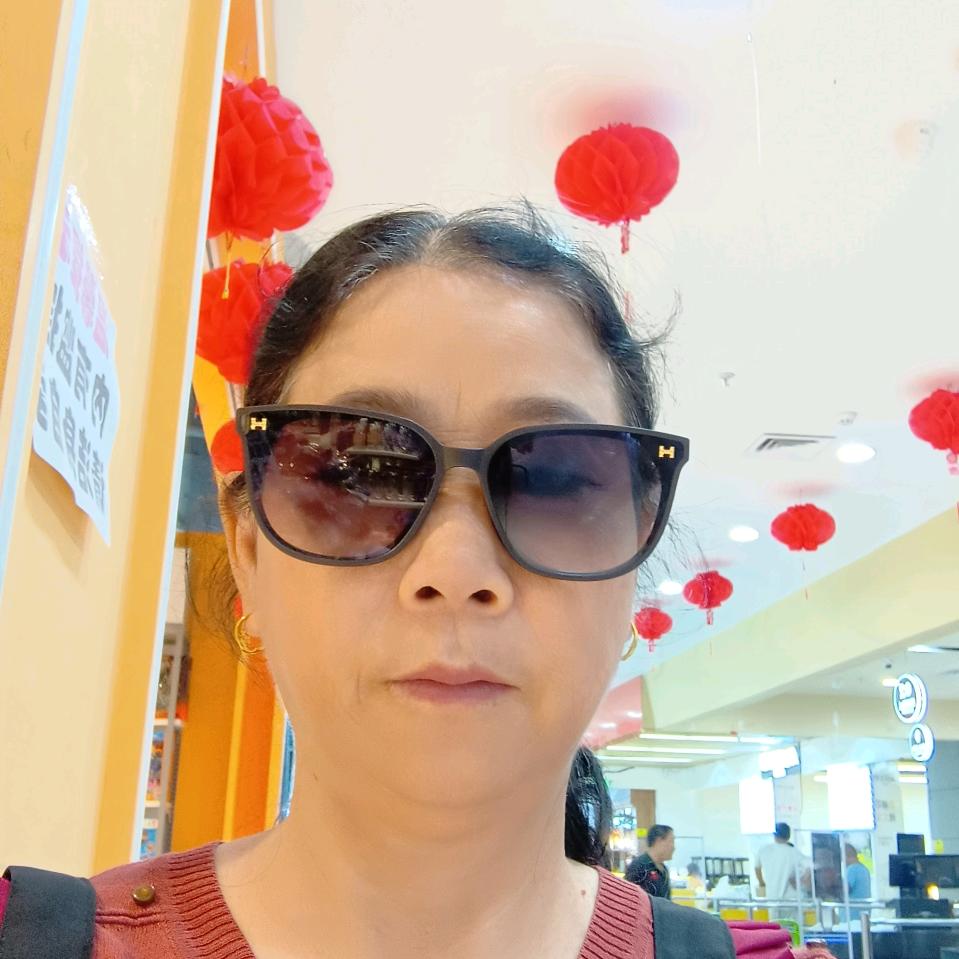 手机用户小燕子