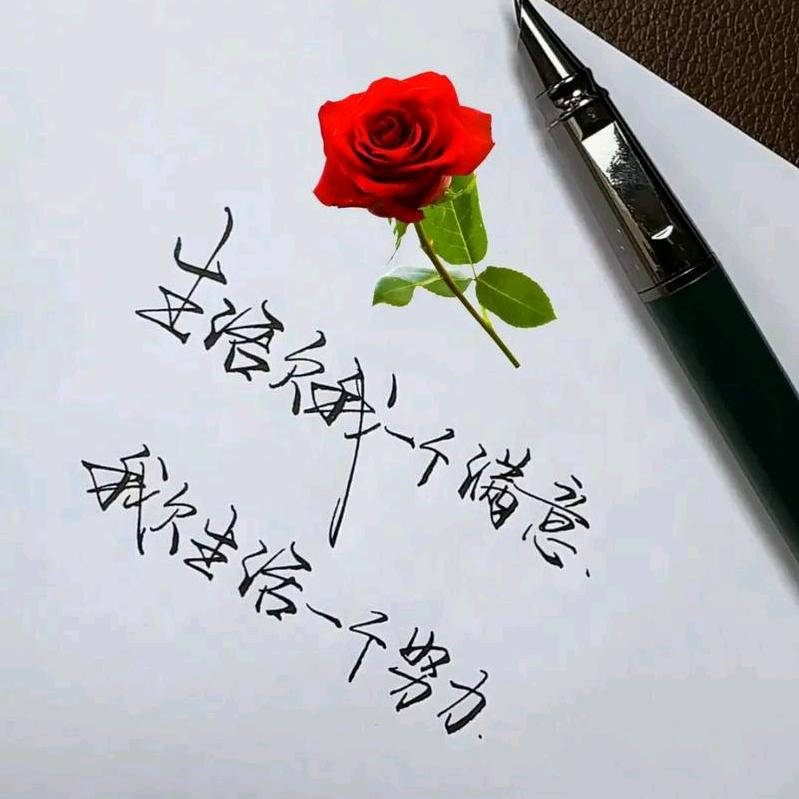 裴不了~家有龙凤呈祥