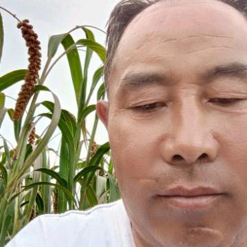旺旺哥