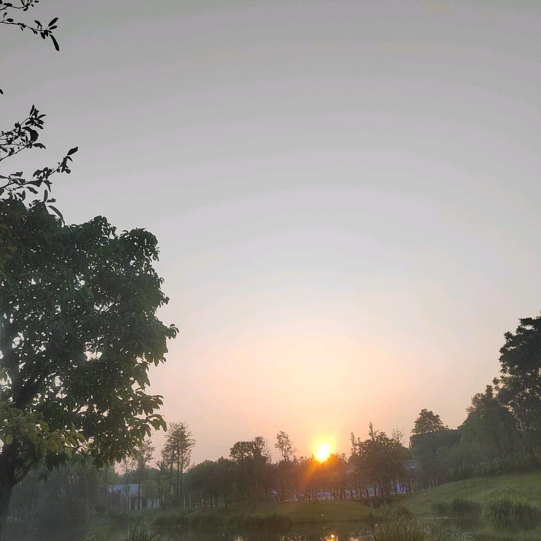 四世同堂