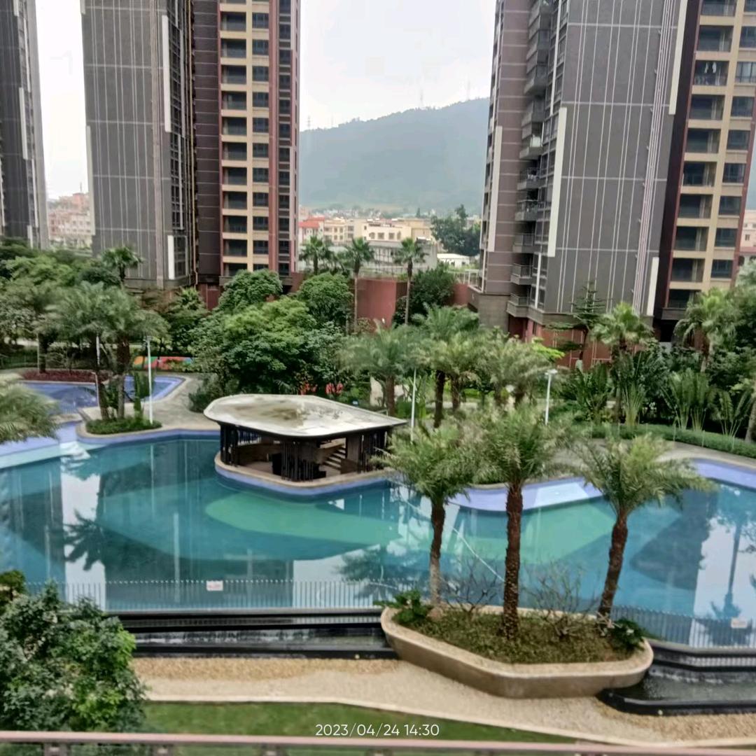 阳江仔