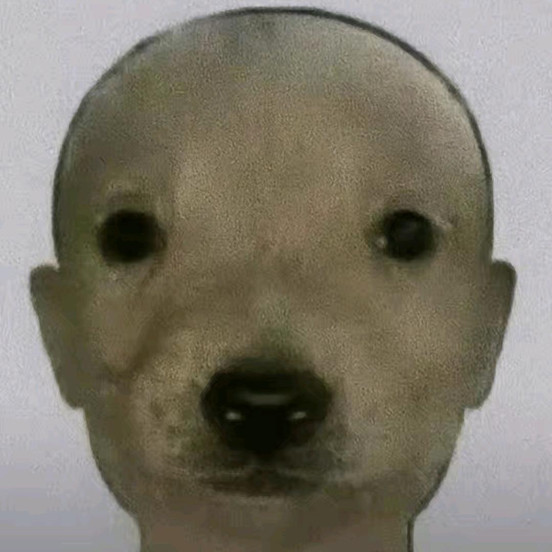 心碎的舔狗