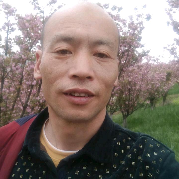 灯泡哥（晚8：40分开播）