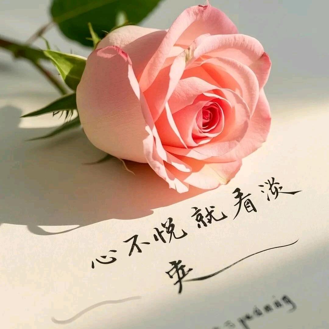 🇨🇳陌上🇨🇳