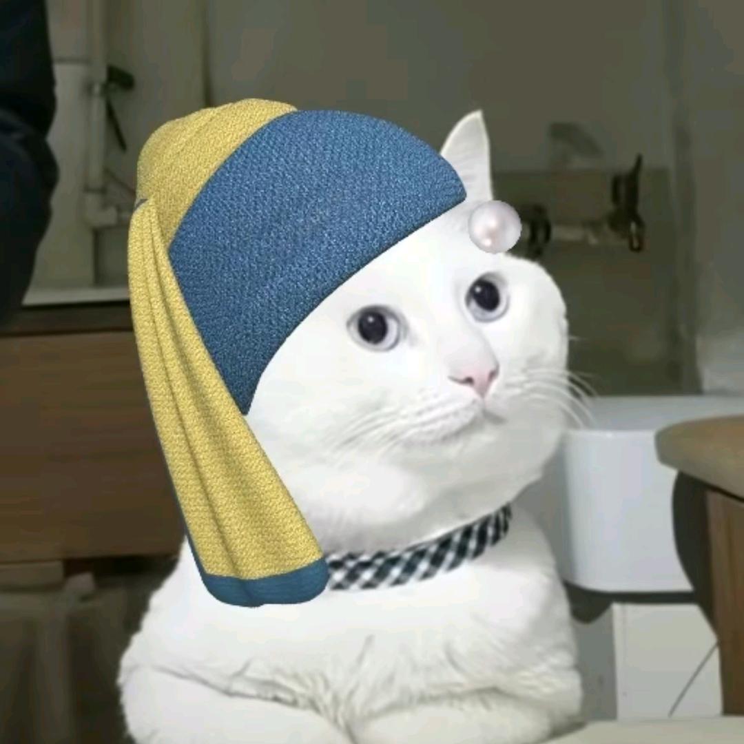 云卿卿