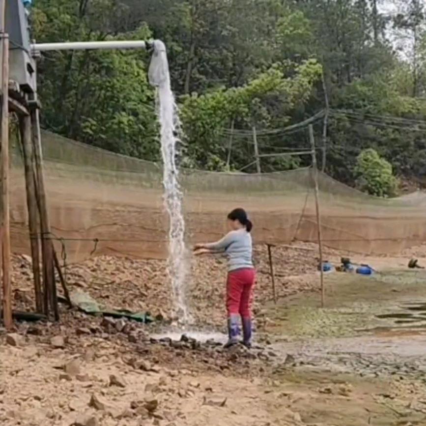 🍃蝴蝶