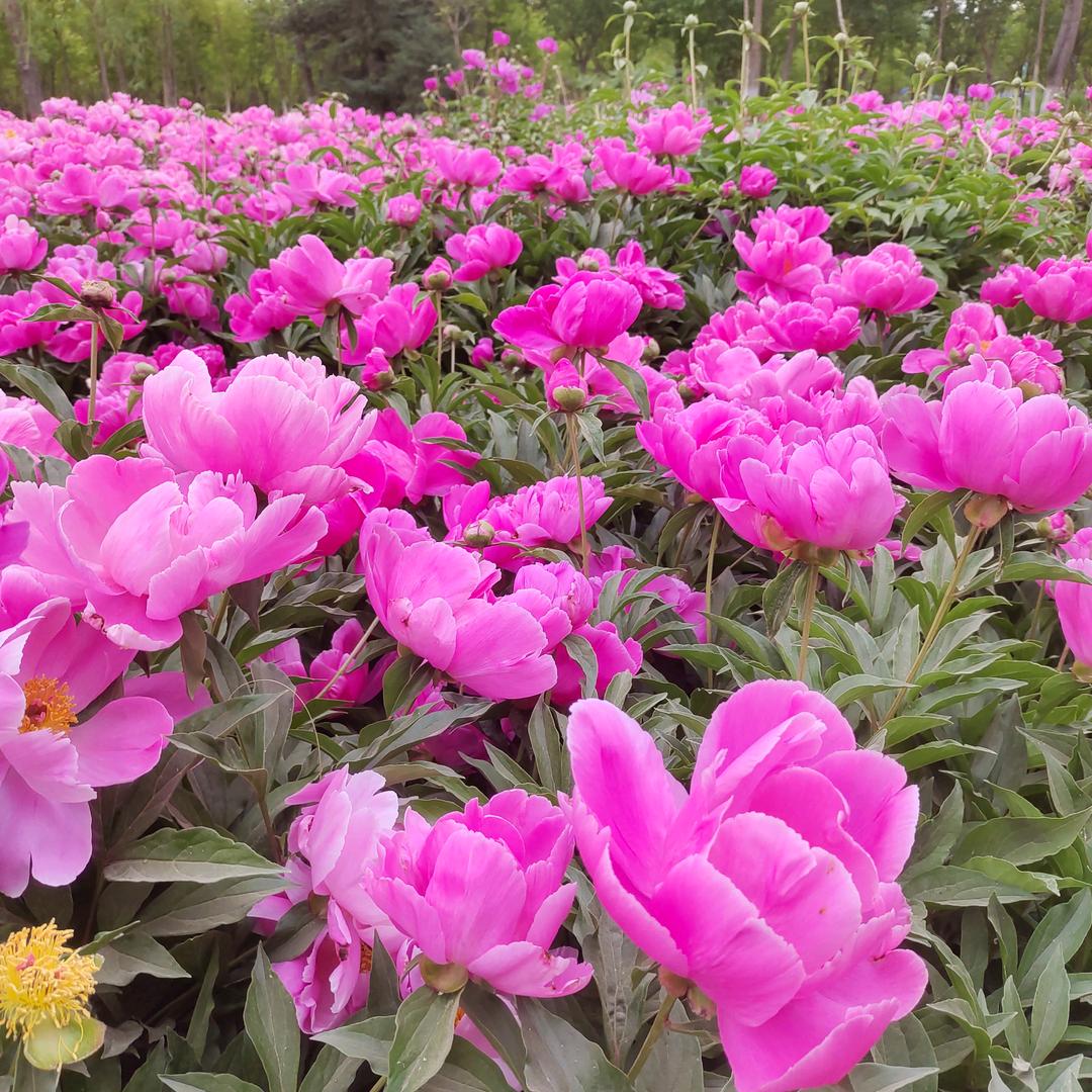 再见了，曾经，