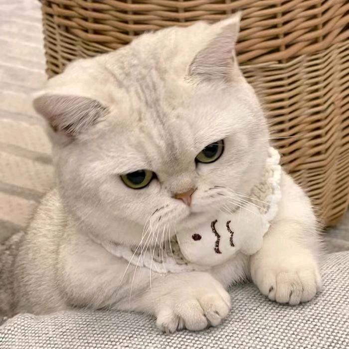 小口鱼丸
