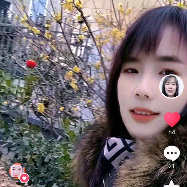 雪容容