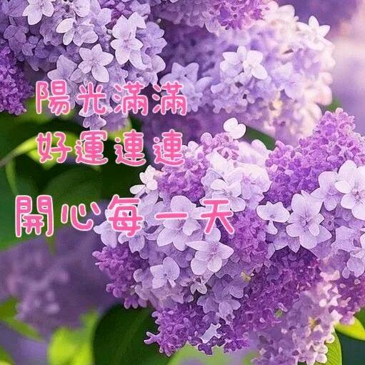 牵挂你的人是我