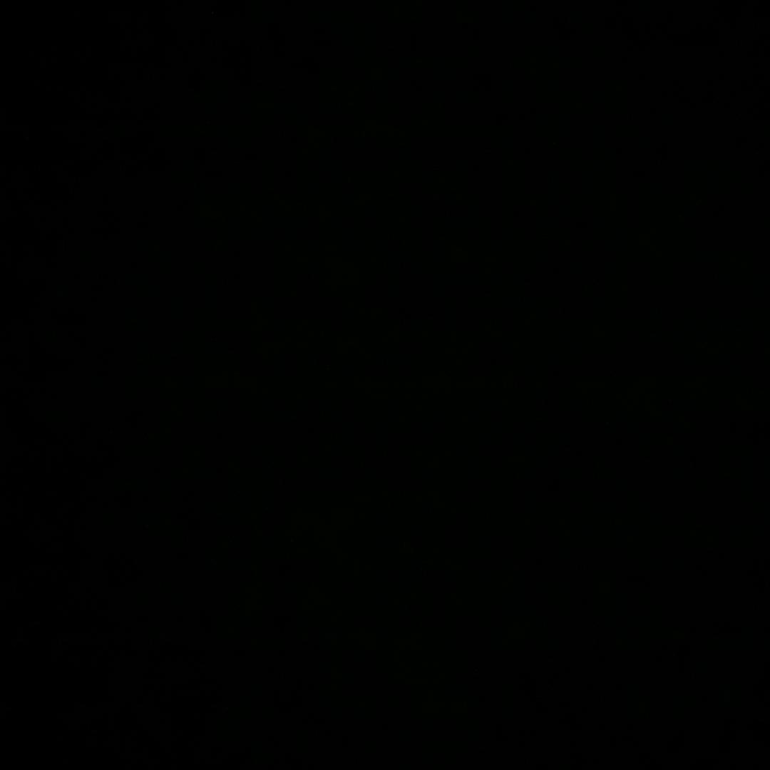 老蝶