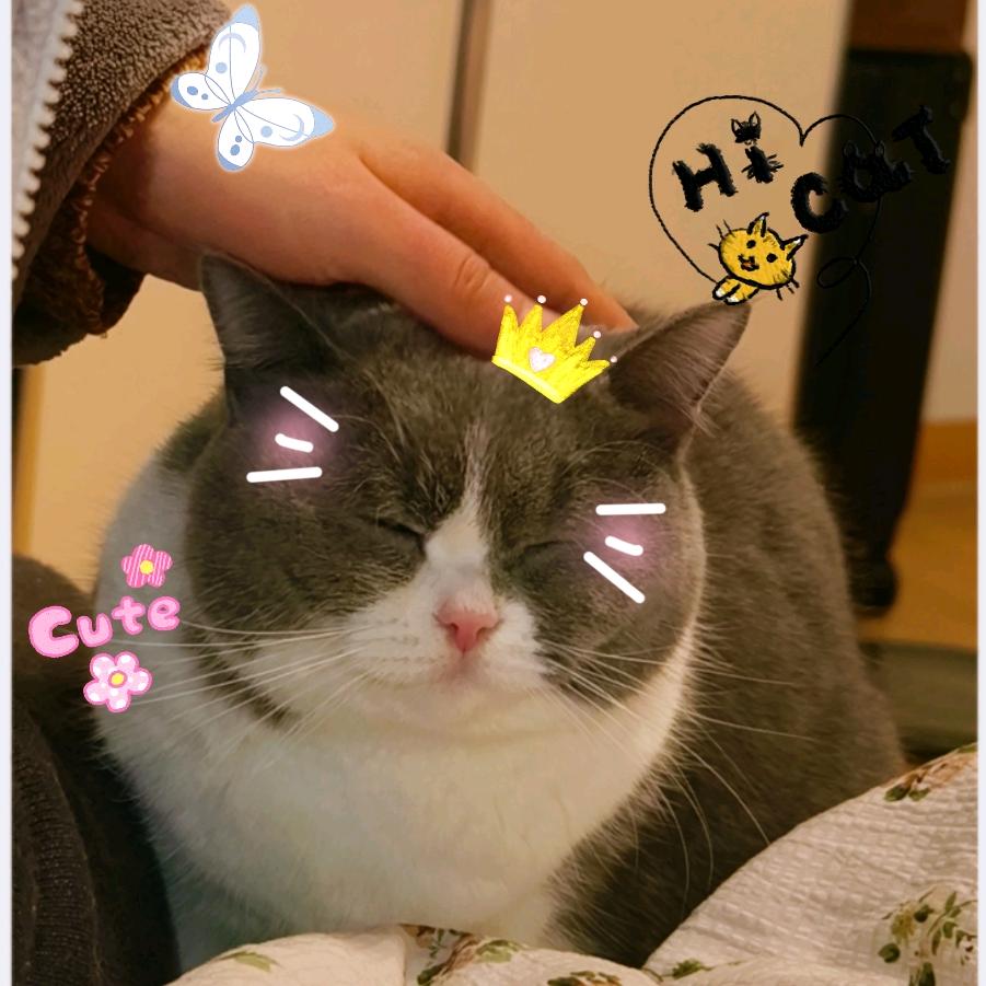 哆哆家日常