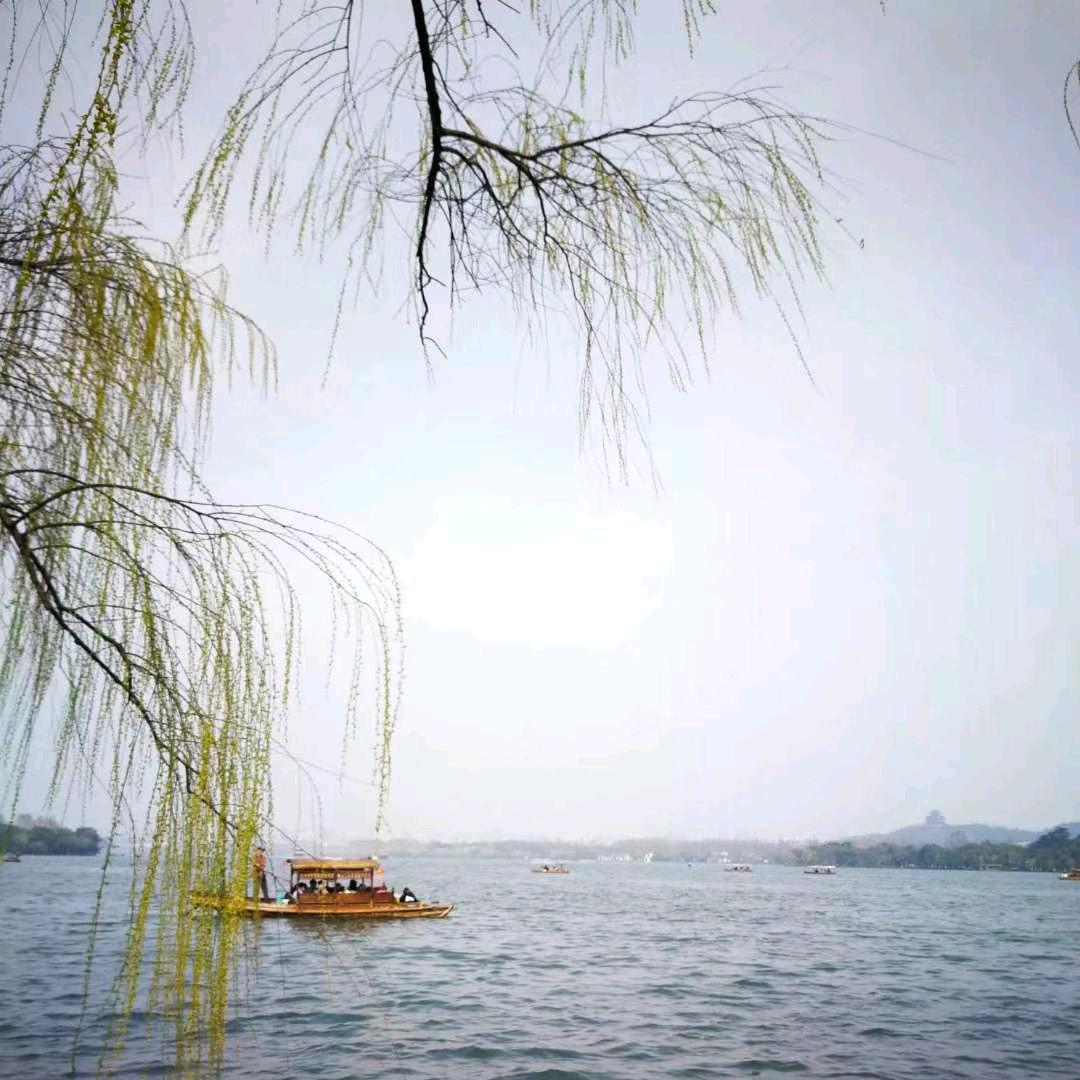 ❤️星辰🔯大海