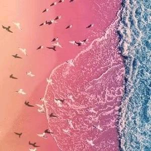 sc