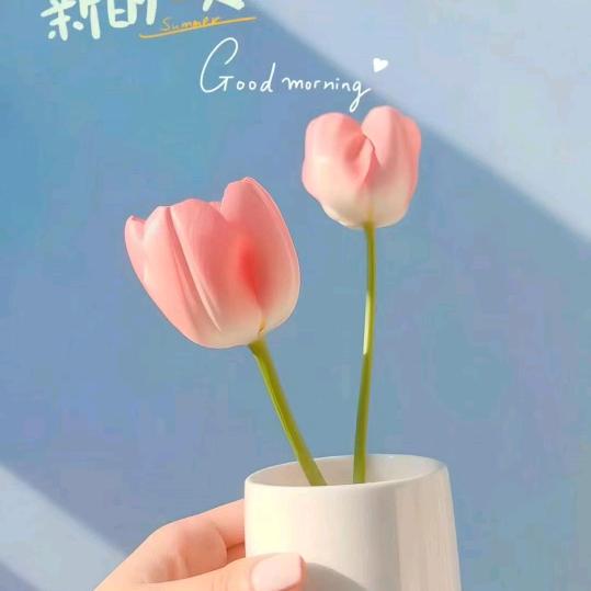 用户2783481281156