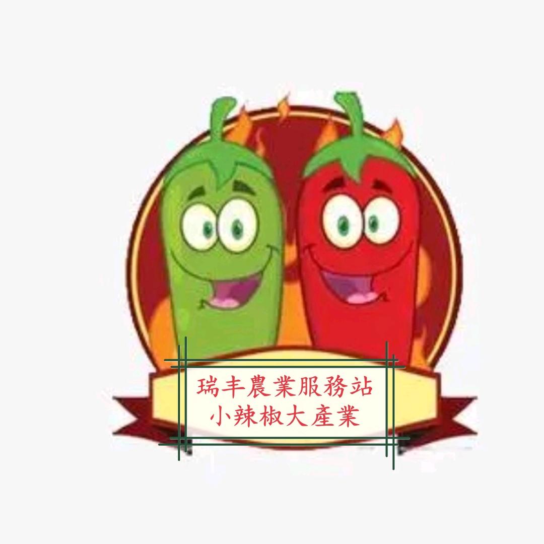 山东瑞丰多椒2号店