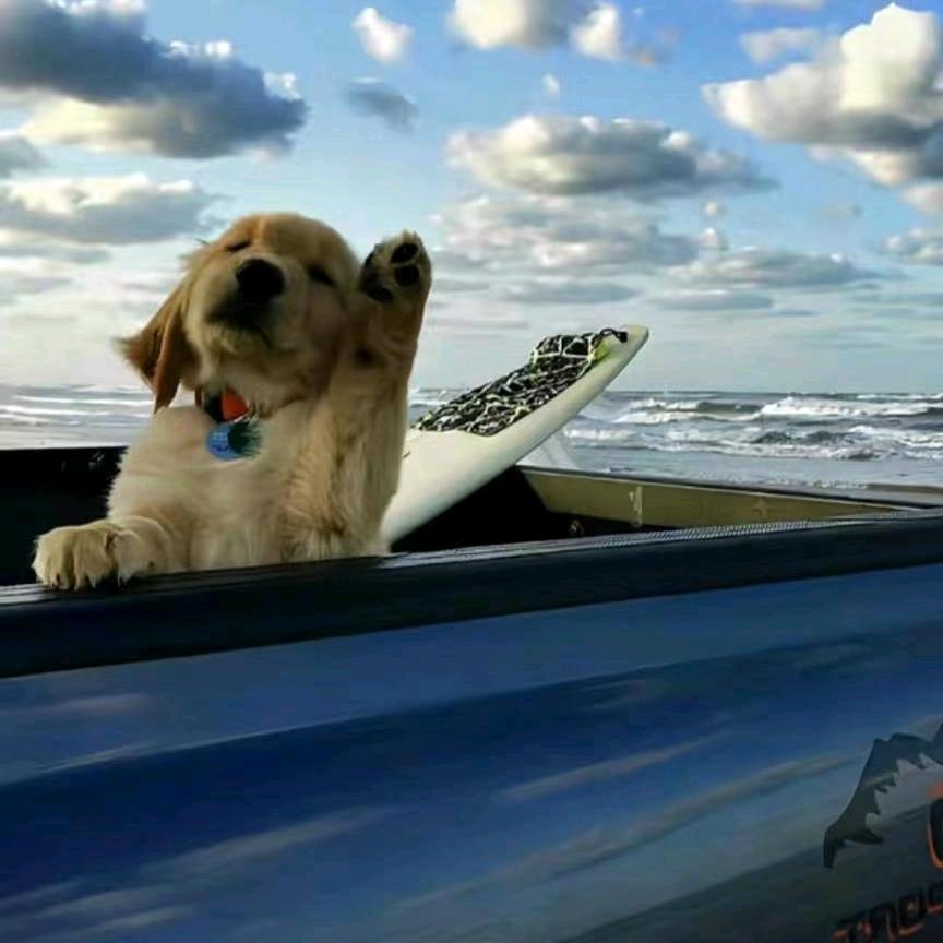 张飞演艺