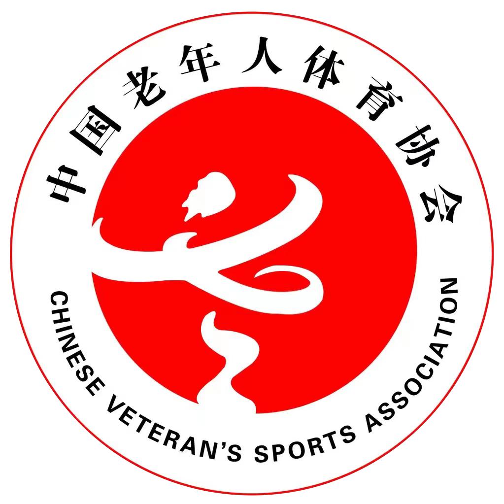 老体协柔力球发布