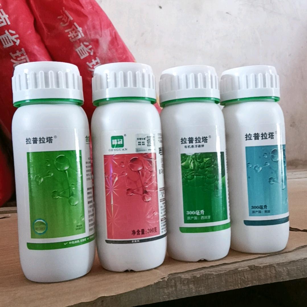 常兴李灯常农资