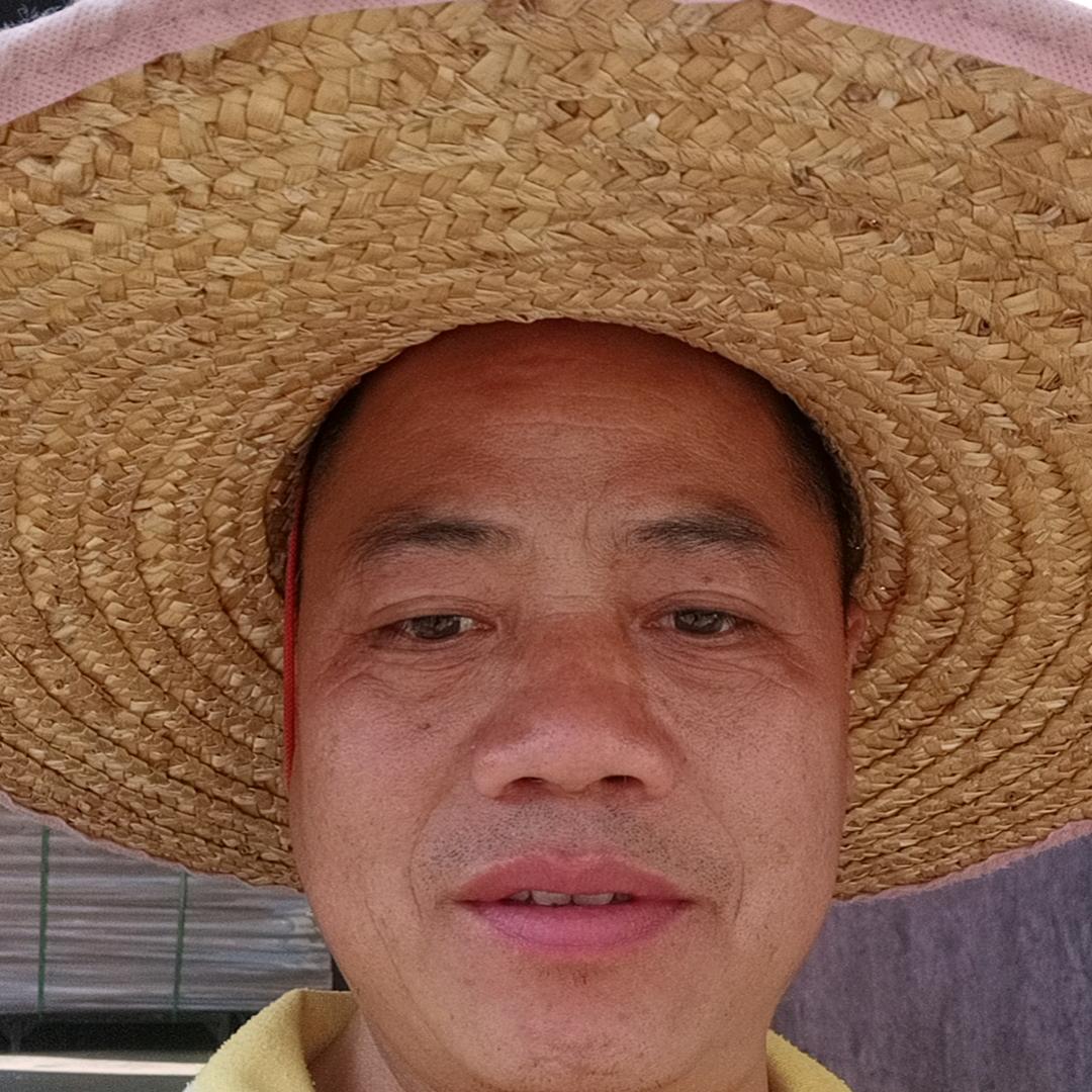 冰糖橙批发基地（曹生）