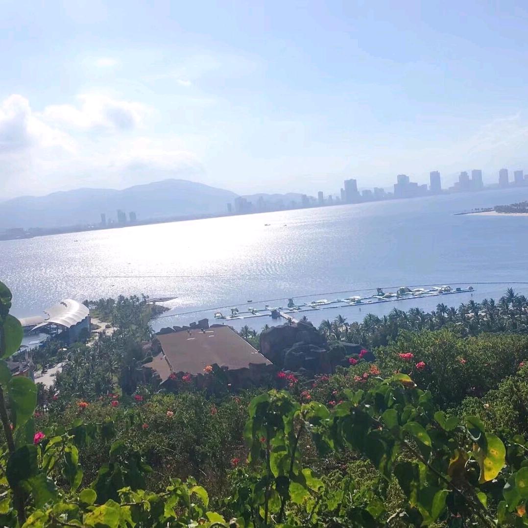 减不掉的肥167