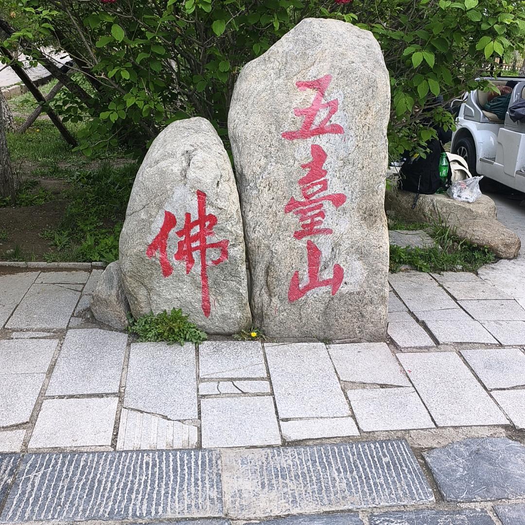 @道法自然@