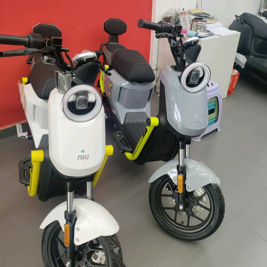 廊坊小牛电动张小胖