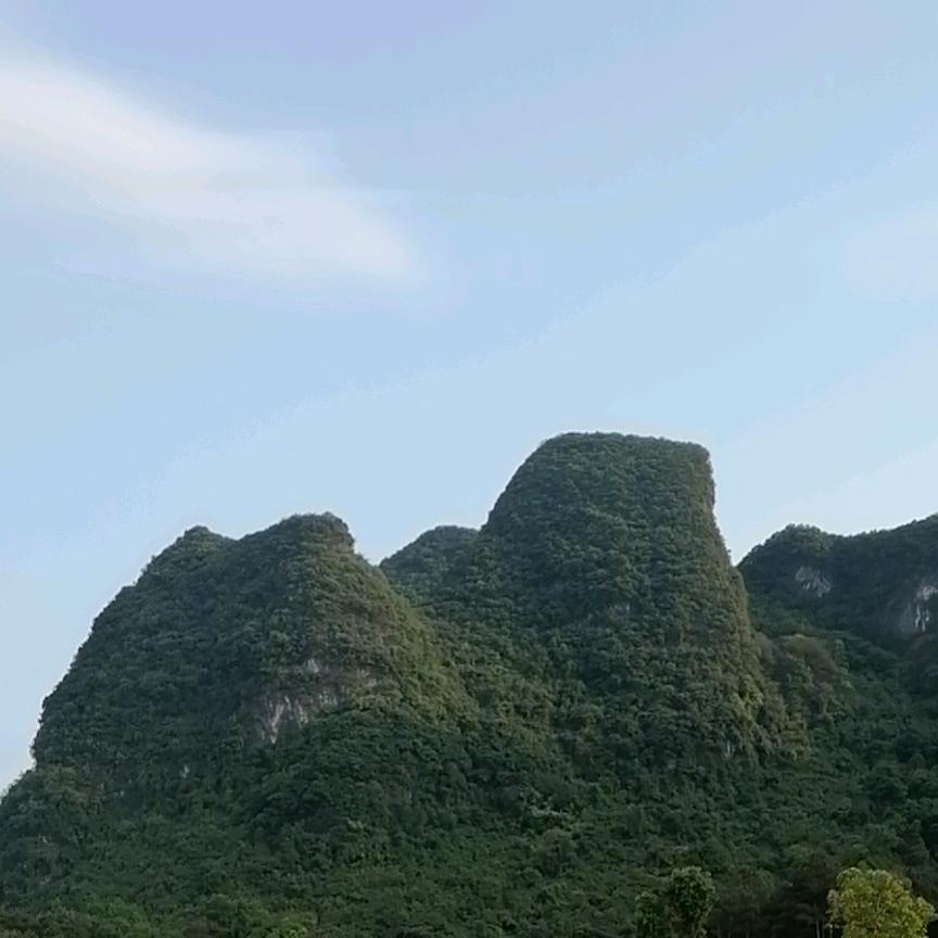 独领风骚