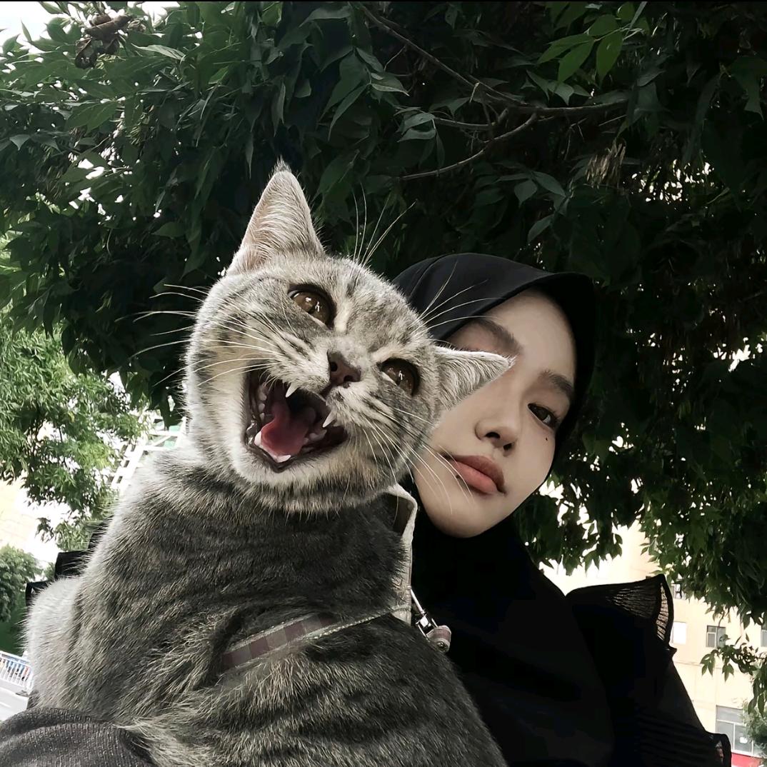 林娜娜🕋