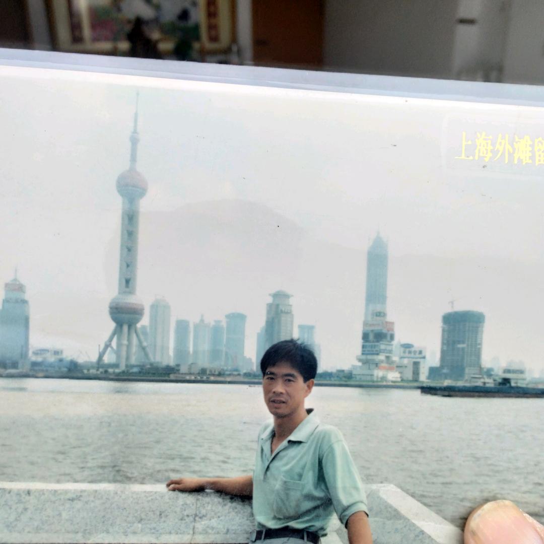 天竺云芽