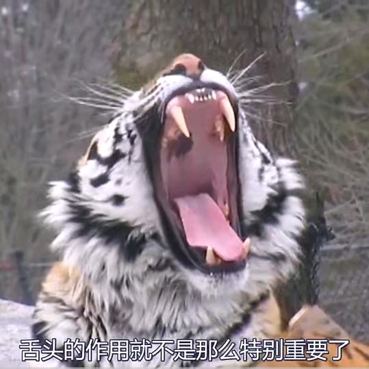 临兵斗者皆阵列前行