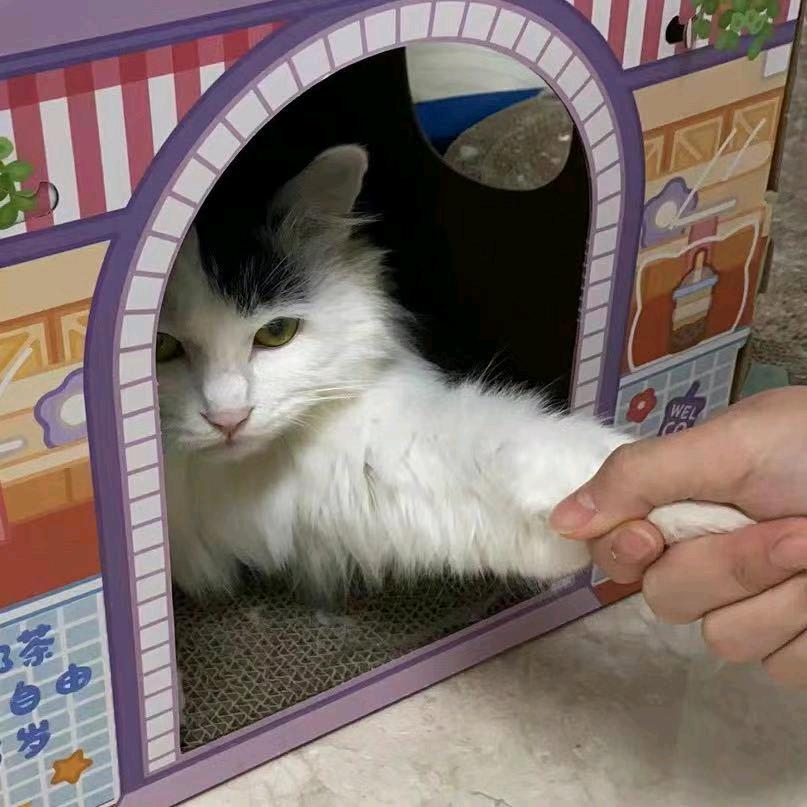 钱多多💰💰💰