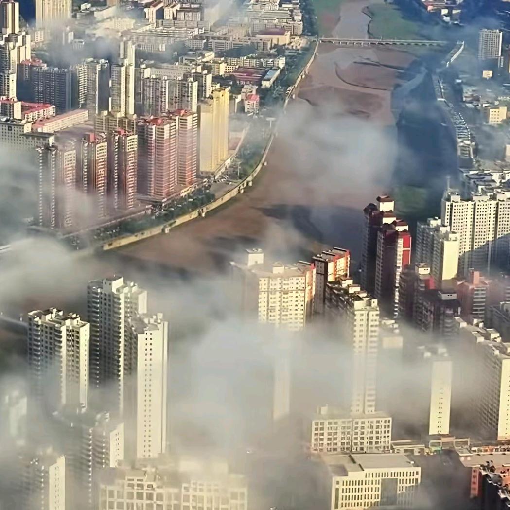 不必谁懂我