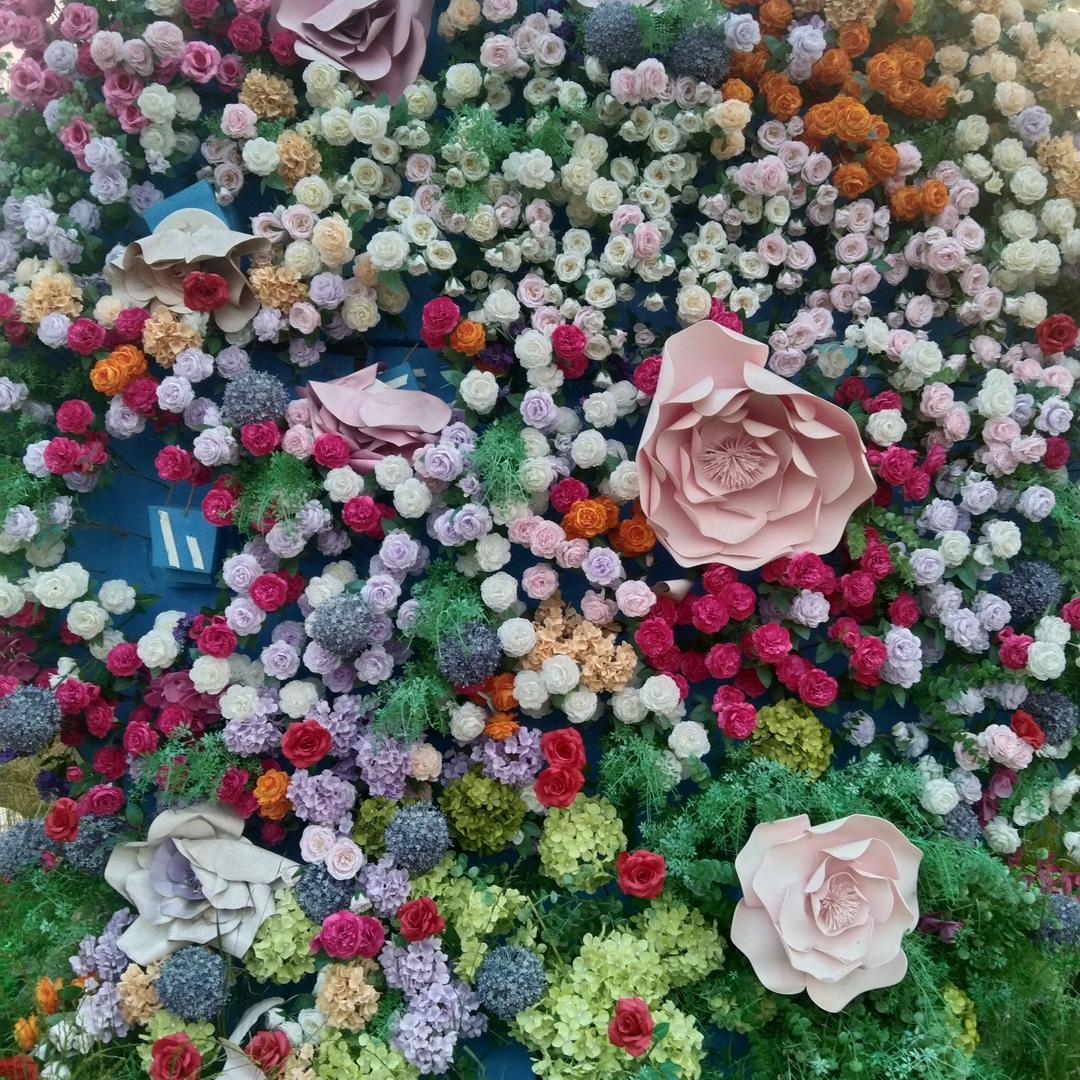 雨🌷后🌹彩🌺虹