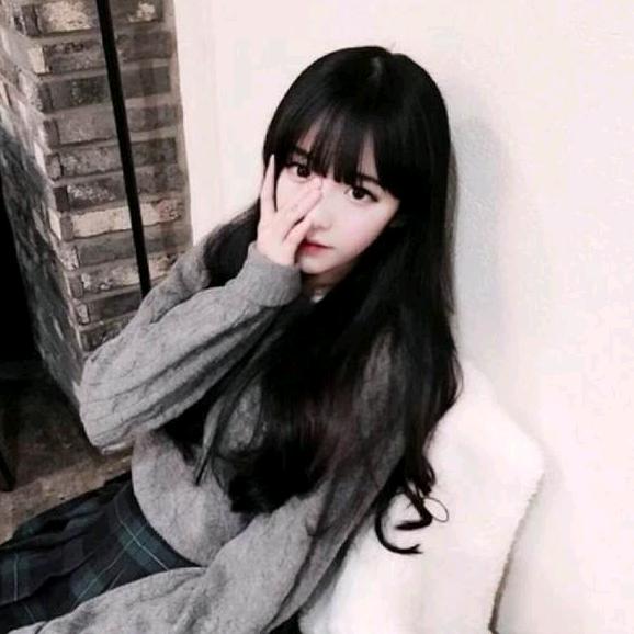 燕子王✨