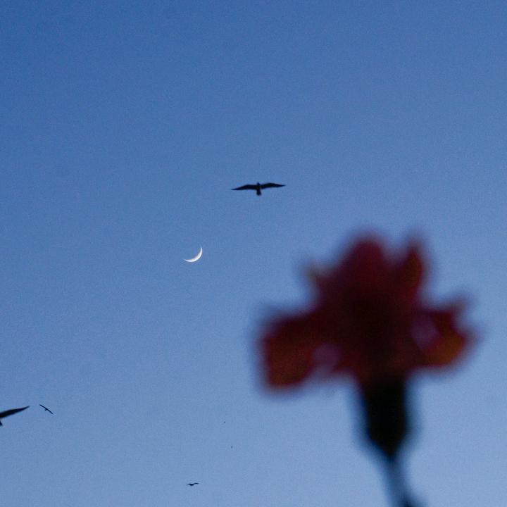 义乌小商品（线上云仓）