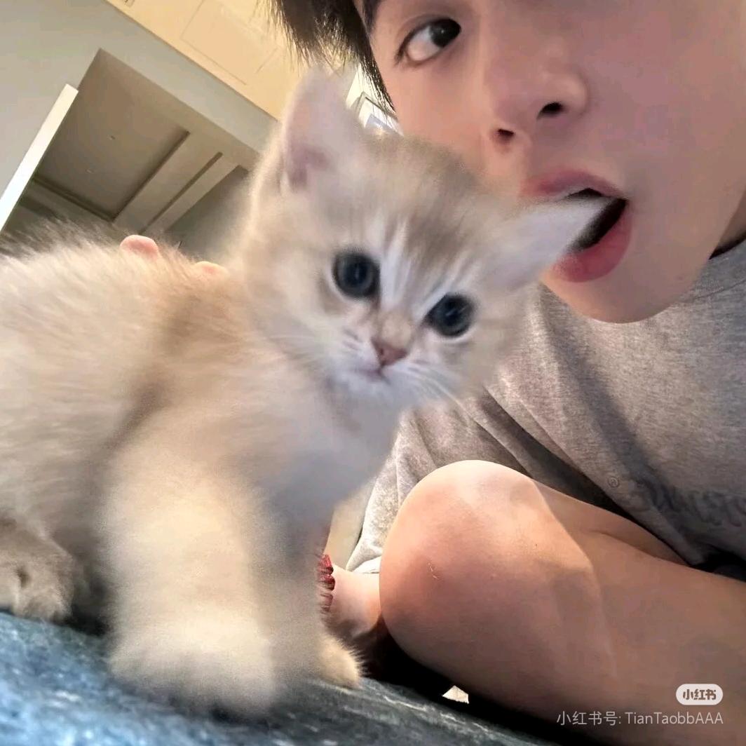 了然.
