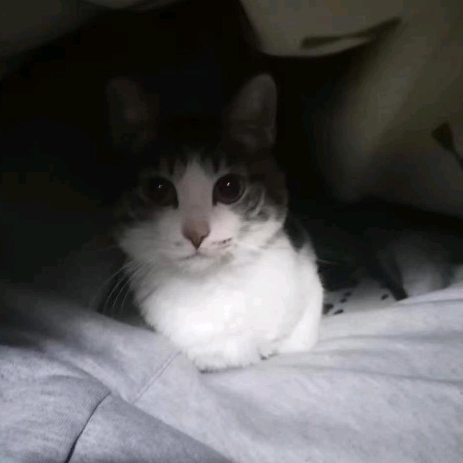 无人问津